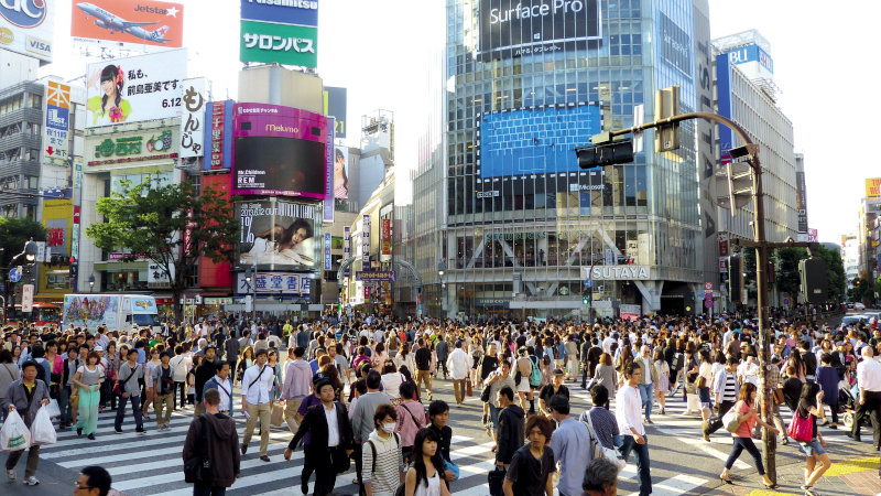 Formation Japonais Professionnel