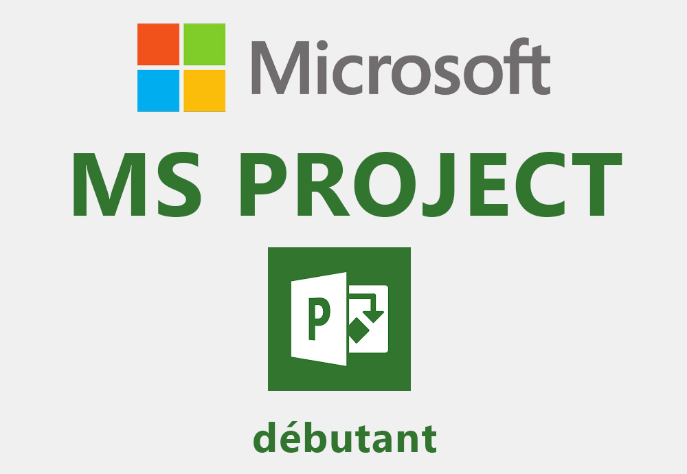 programme formation MS-Project débutant